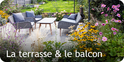 Les conseils du mois de septembre sur la terrasse et le balcon