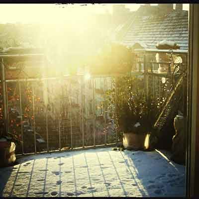Plantes en pot sur un balcon couvert de neige pendant journée ensoleillée