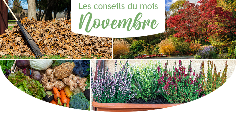 Les conseils du mois d'octobre au jardin