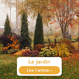 Conseils du mois de novembre au jardin