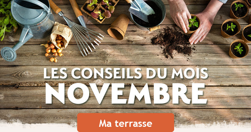 conseil du mois de novembre sur les terrasses