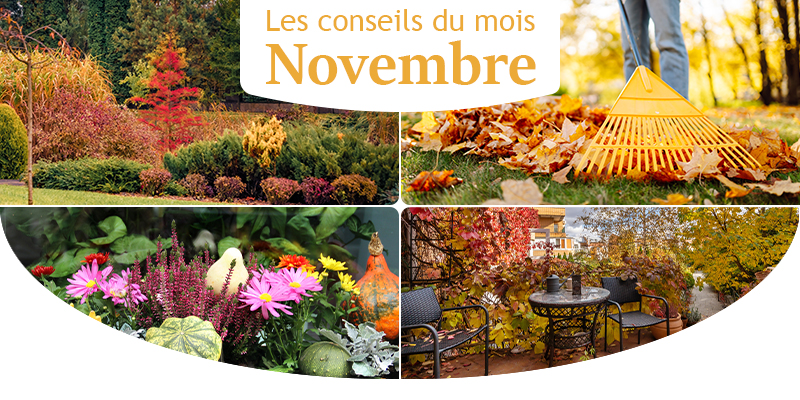 Les conseils du mois de novembre au jardin