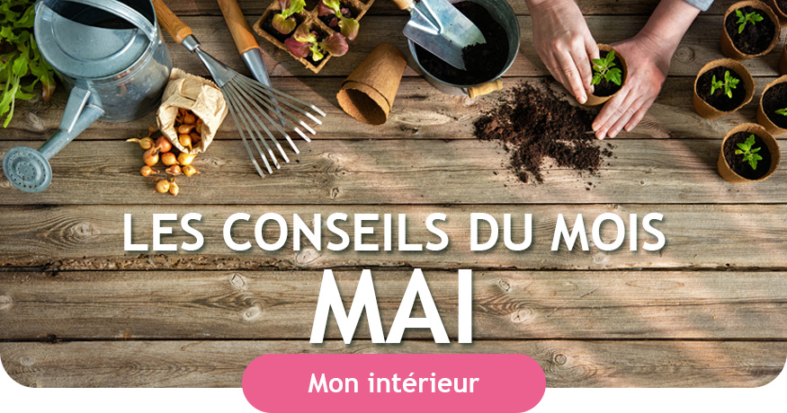 Conseils du mois de mai intérieur