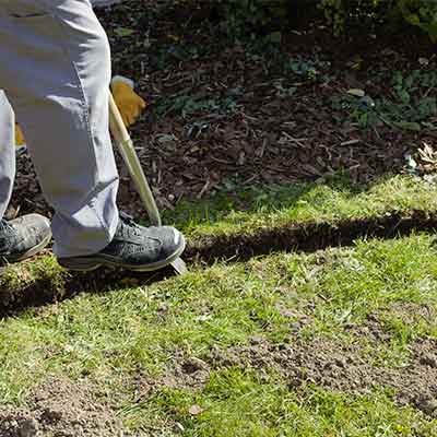 amenager-bordure-de-haie-jardin