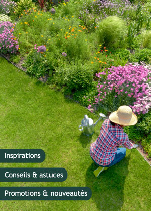 Pop-in inscription newsletter Willemse
