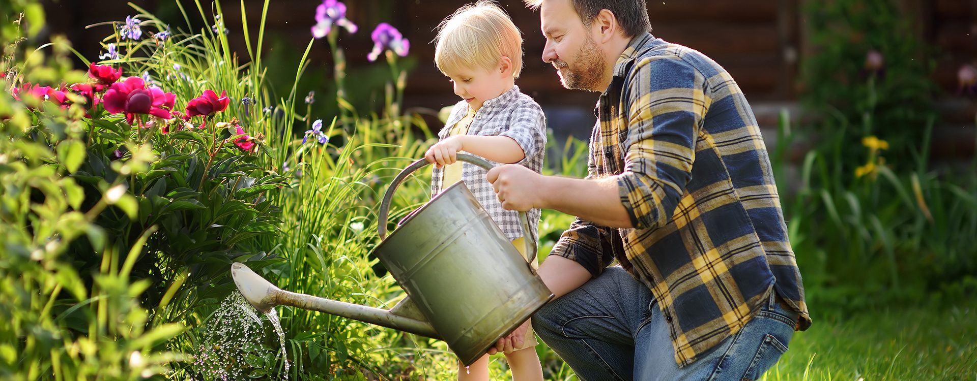 Homme d'âge moyen et son petit fils arrosant des fleurs dans le jardin lors d'une journée d'été ensoleillée