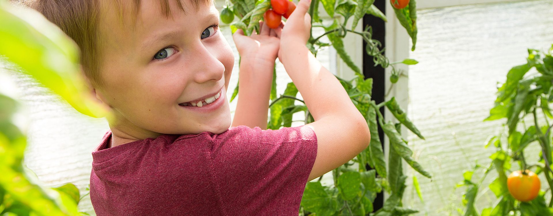 enfant-souriant-tient-des-tomates-en-main