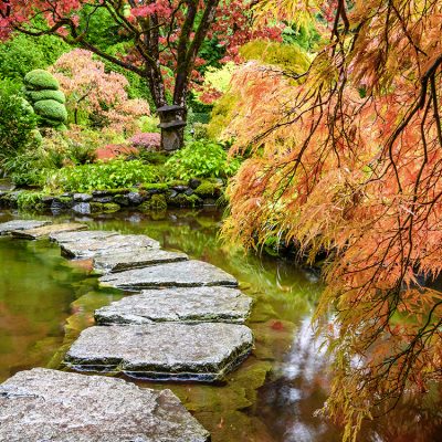 De-magnifiques-érables-japonais-dans-les-Jardins-Butchart