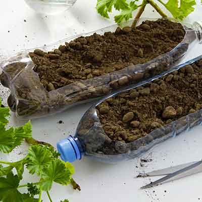 Jardinage en bouteille plastique recyclée Vue de dessus d'une bouteille en plastique remplie de terre, pour planter des plantes ou des légumes à l'intérieur