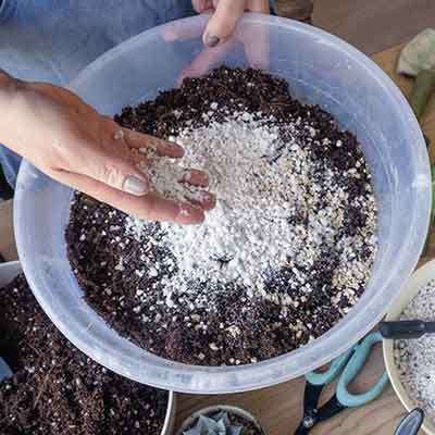 Vue de dessus Soins des plantes en pot d'intérieur au printemps. Une femme caucasienne mélange le terreau avec de la perlite dans un récipient