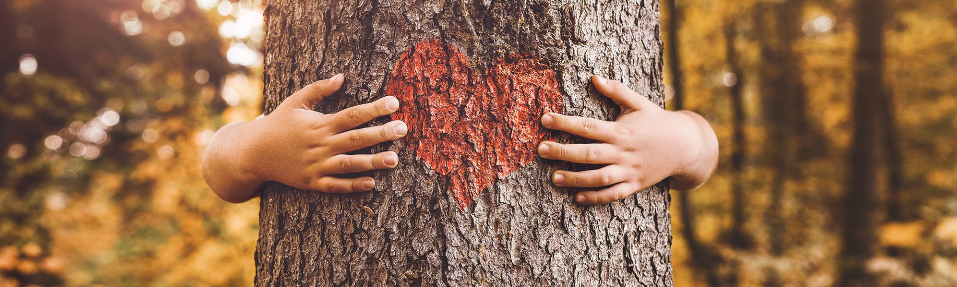 gros plan de mains d'enfants étreignant un arbre avec un cœur
