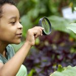 enfant-garçon-intéressé-par-la-biologie-et-l'écologie,-utiliser-la-loupe-pour-mieux-regarder-les-plantes