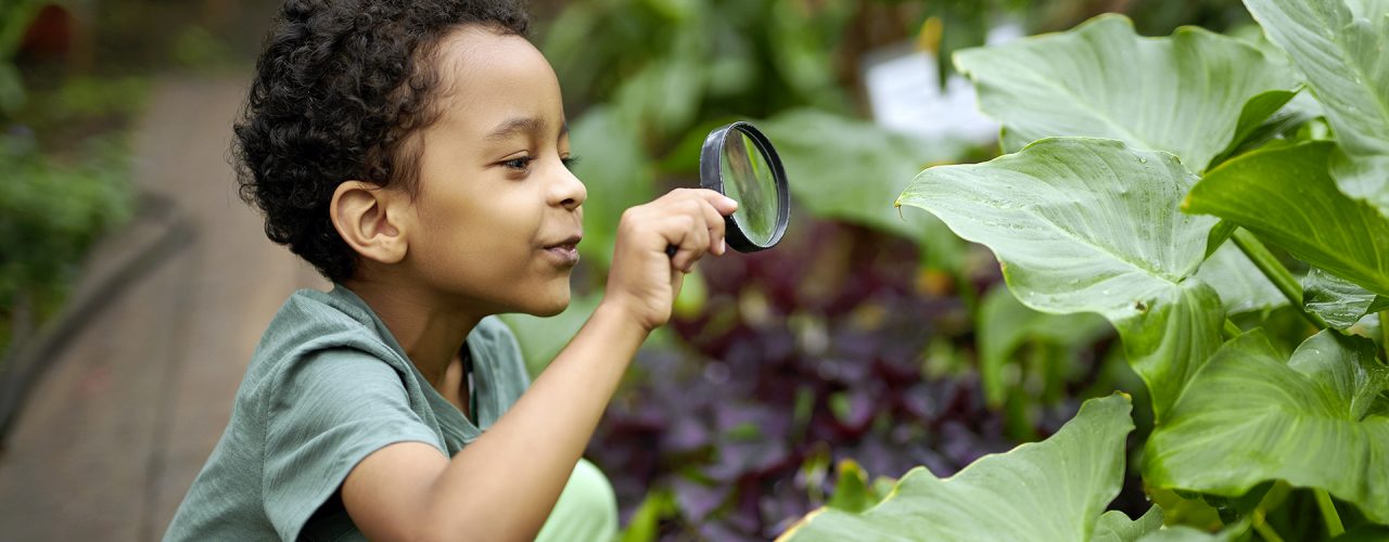 enfant-garçon-intéressé-par-la-biologie-et-l'écologie,-utiliser-la-loupe-pour-mieux-regarder-les-plantes