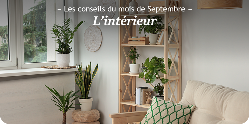 Les conseils du mois de septembre pour l'intérieur