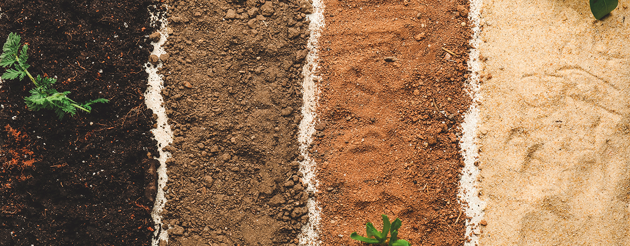 Comment Identifier Le Type De Terre De Votre Jardin