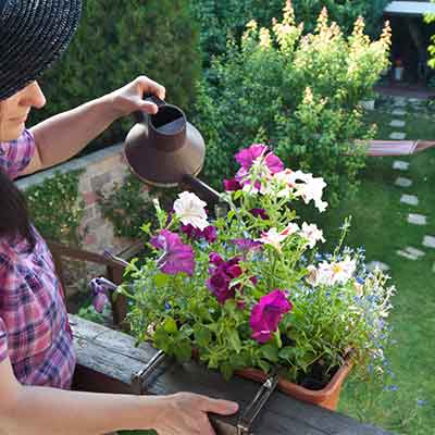 femme arrose des plantes en jardiniere sur un balcon