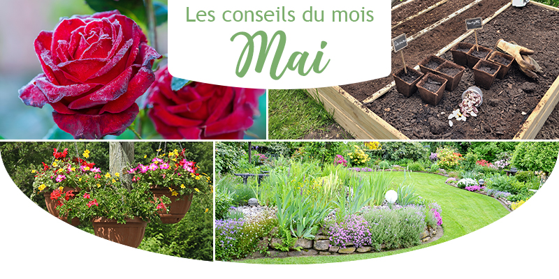 Les conseils du mois de mai