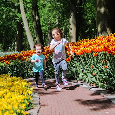 Deux soeurs filles s'amusant dans des tulipes multicolores dans des champs de tulipes