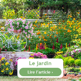 Le jardin en été