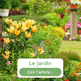 Le jardin en juin