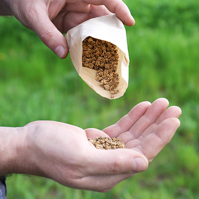 Homme versant des graines de betteraves d'un sac en papier dans sa main en extérieur