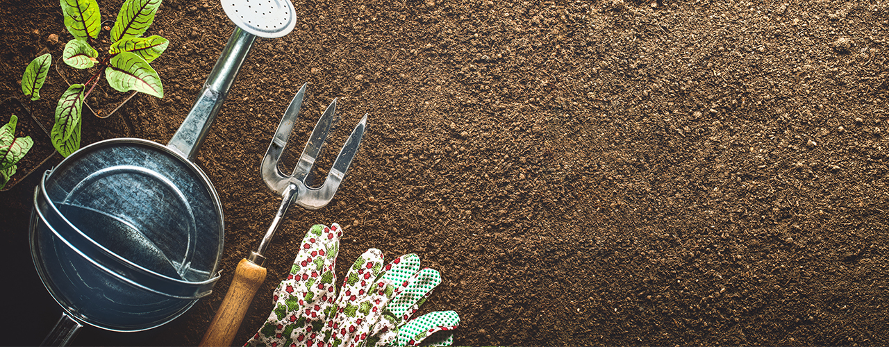 Potager : 3 outils du jardinier à avoir mais à quoi servent-ils ?