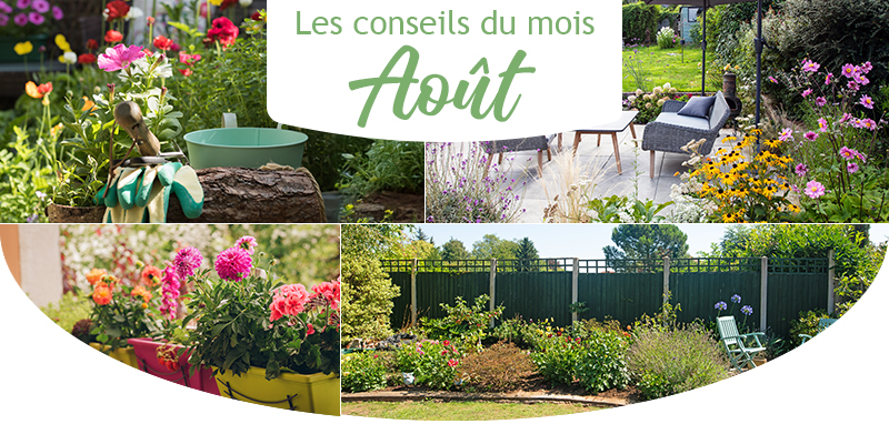 Les conseils du mois d'août au jardin