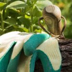 Que faire au jardin en août ?