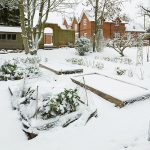 Jardin potager sous la neige en hiver