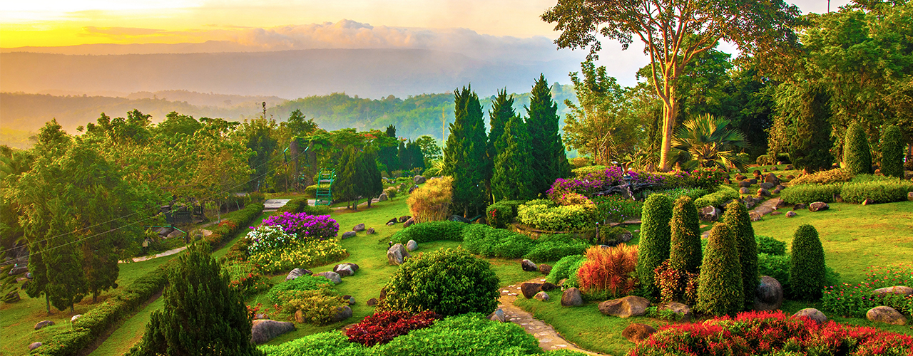 Beau jardin de fleurs colorées sur une colline
