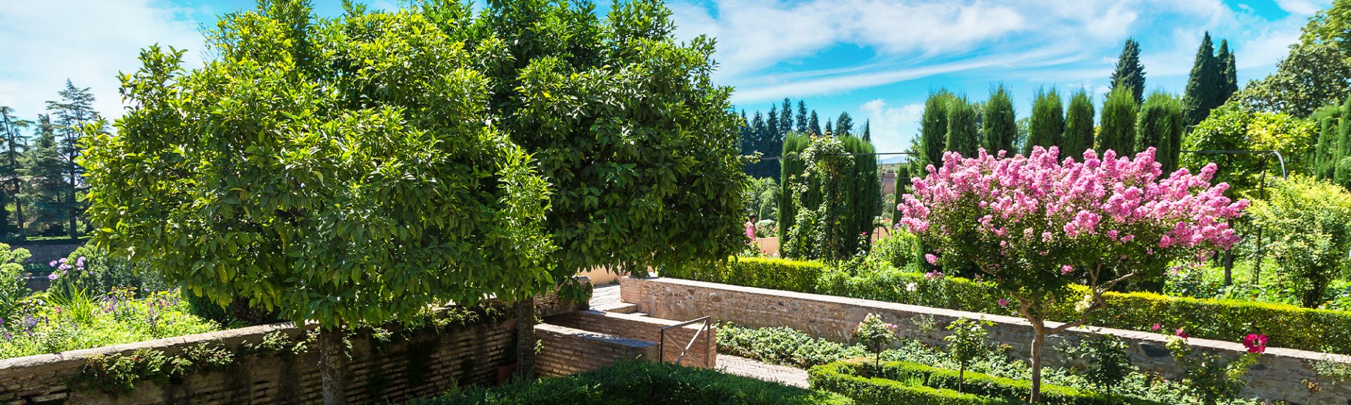 Un jardin adapté au climat