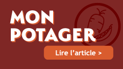 Mon potager lire l'article