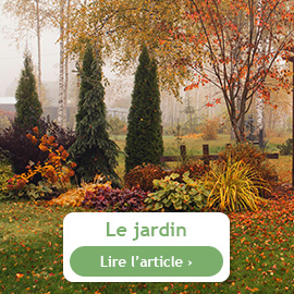 le jardin en octobre