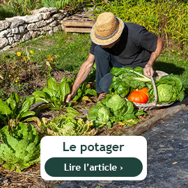 Le potager