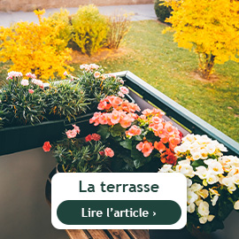 La terrasse en octobre