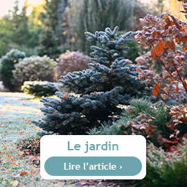 Les conseils du mois de décembre au jardin