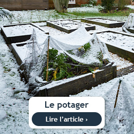 conseils du mois de décembre sur le potager