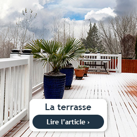 Conseils du mois de décembre sur le balcon et la terrasse