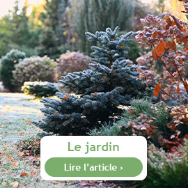 le jardin en hiver