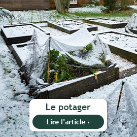 Le potager en hiver