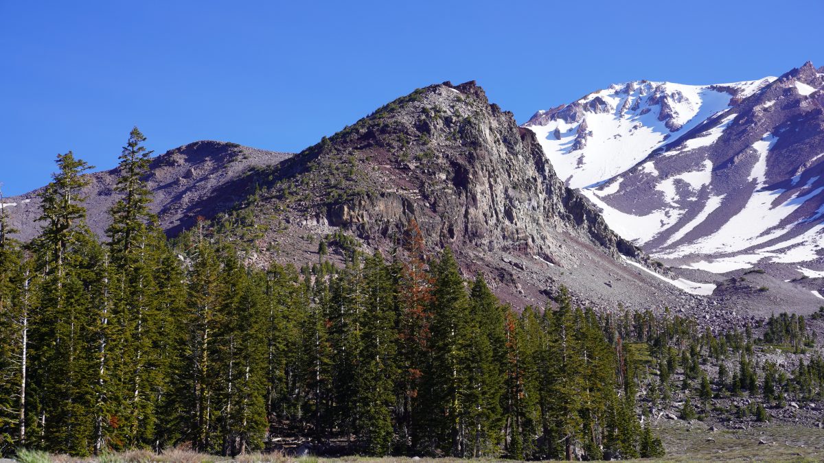 Les arbres en montagne — free download