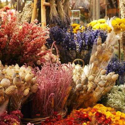 fleurs séchées dans un stand