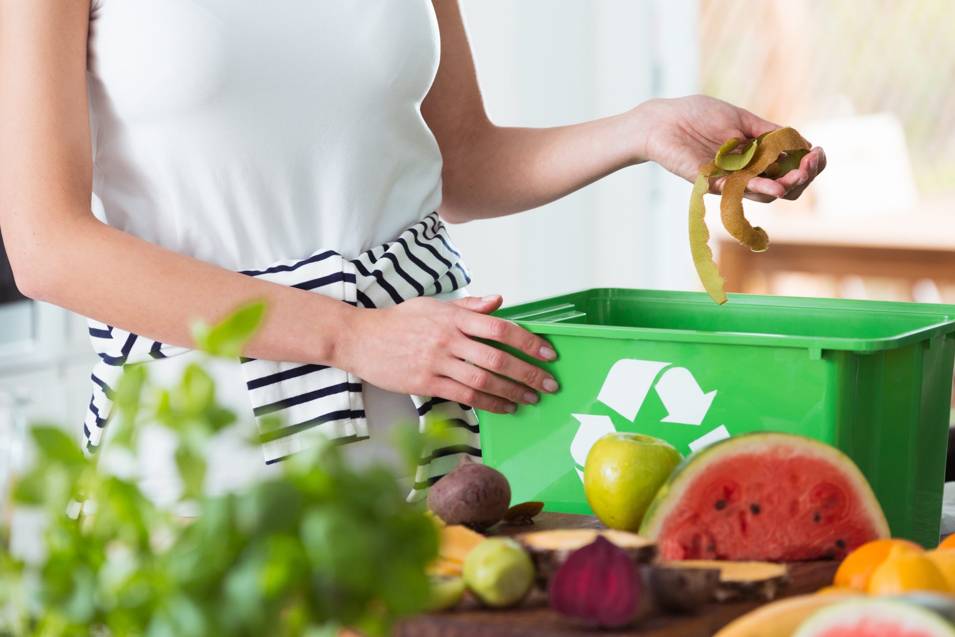 compostage intérieur