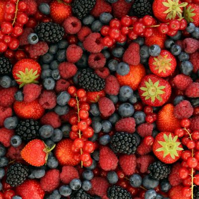 Faire pousser ses propres fruits rouges