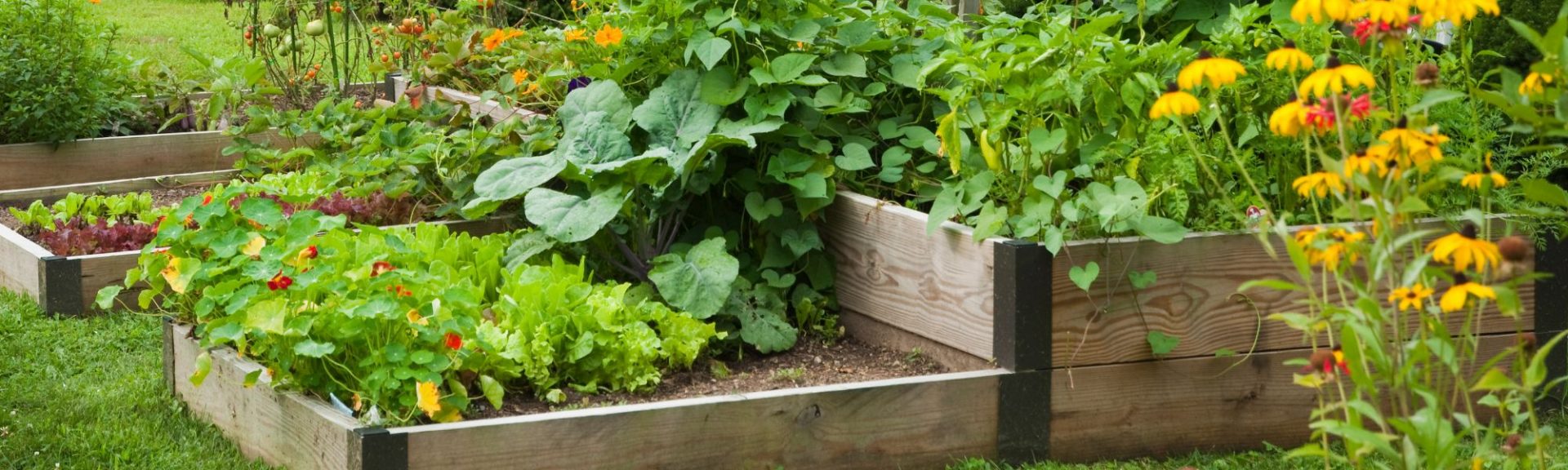 Bannière Potager & Fleurs