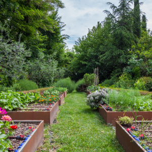 Bonus aménagement du potager fleuri
