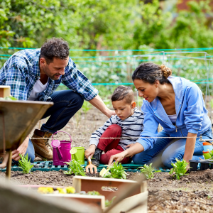 Le jardinage pour guérir