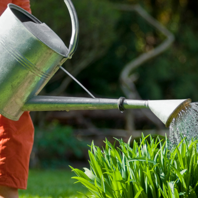 Arroser sans gaspiller : les bons gestes à adopter