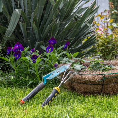 Vocabulaire du jardinier débutant
