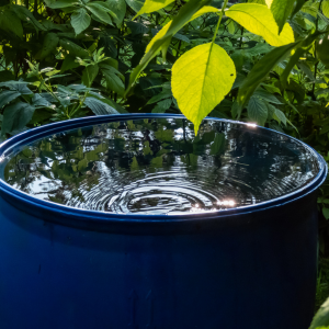 Récupérateur d'eau